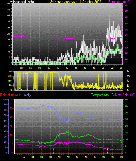 24 Hour Graph for Day 11