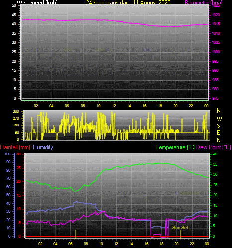 24 Hour Graph for Day 11