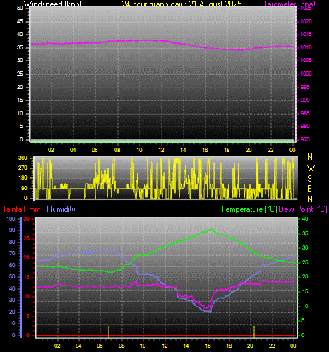 24 Hour Graph for Day 21