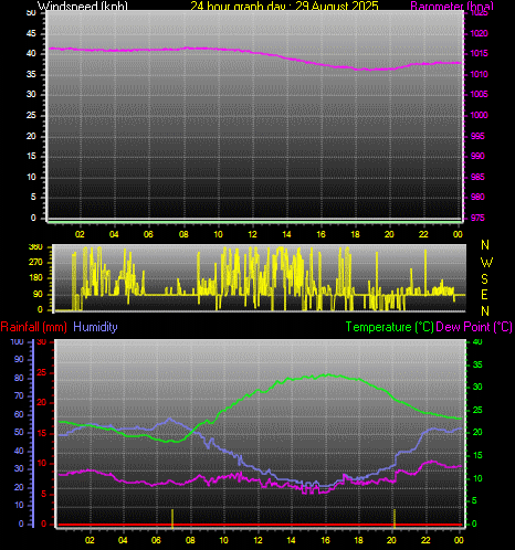 24 Hour Graph for Day 29