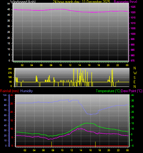 24 Hour Graph for Day 11