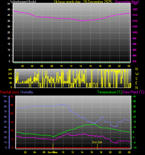 24 Hour Graph for Day 28