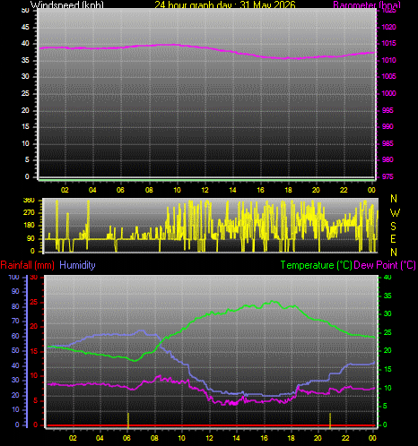 24 Hour Graph for Day 31