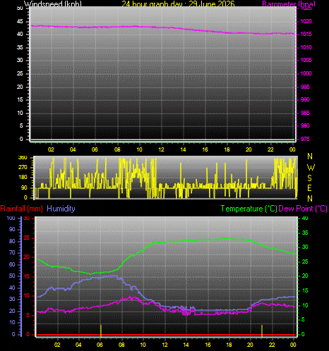 24 Hour Graph for Day 29