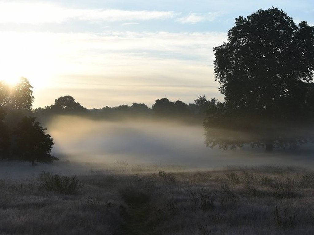Πρόγνωση Θεσσαλίας – Σποράδων και Λάρισας 13-16/12/25