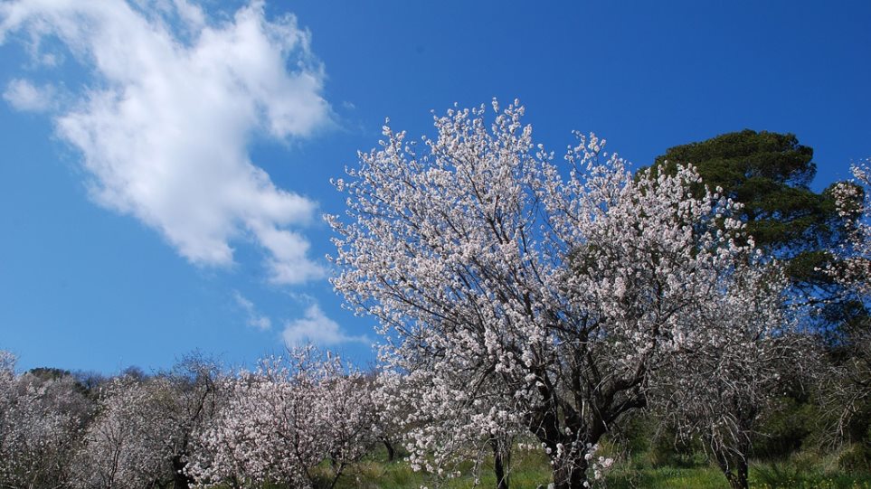Πρόγνωση Θεσσαλίας – Σποράδων και Λάρισας 2-4/3/26