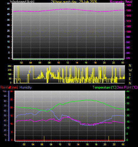 24 Hour Graph for Day 29