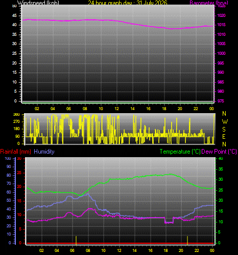 24 Hour Graph for Day 31